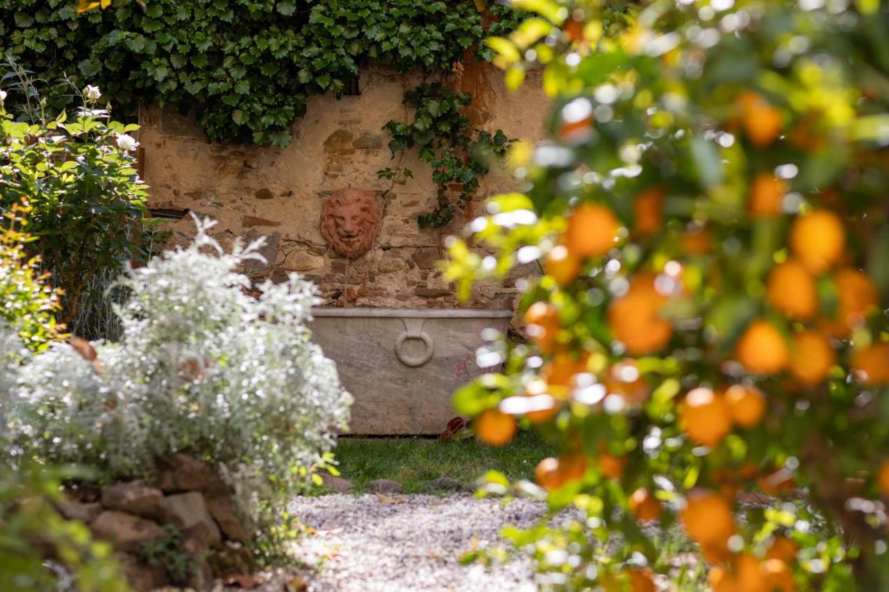 Secret Garden Firenze B&B Eksteriør billede