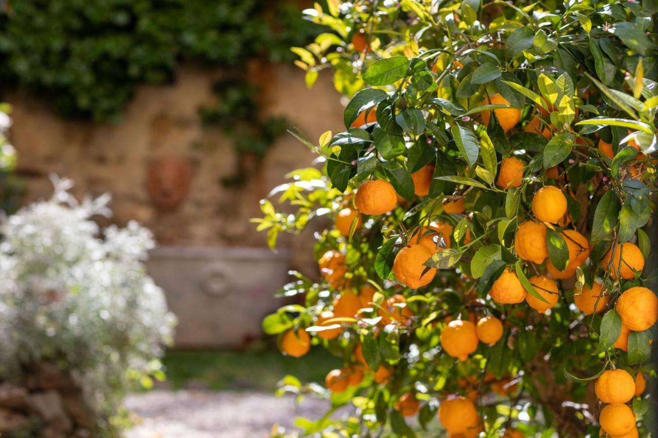 Secret Garden Firenze B&B Eksteriør billede