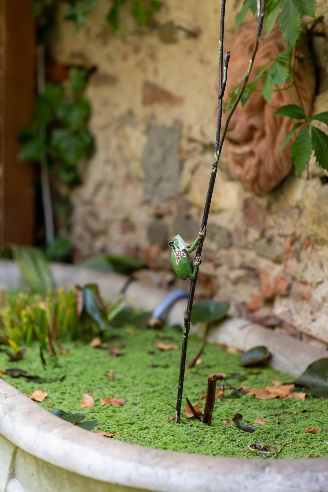 Secret Garden Firenze B&B Eksteriør billede