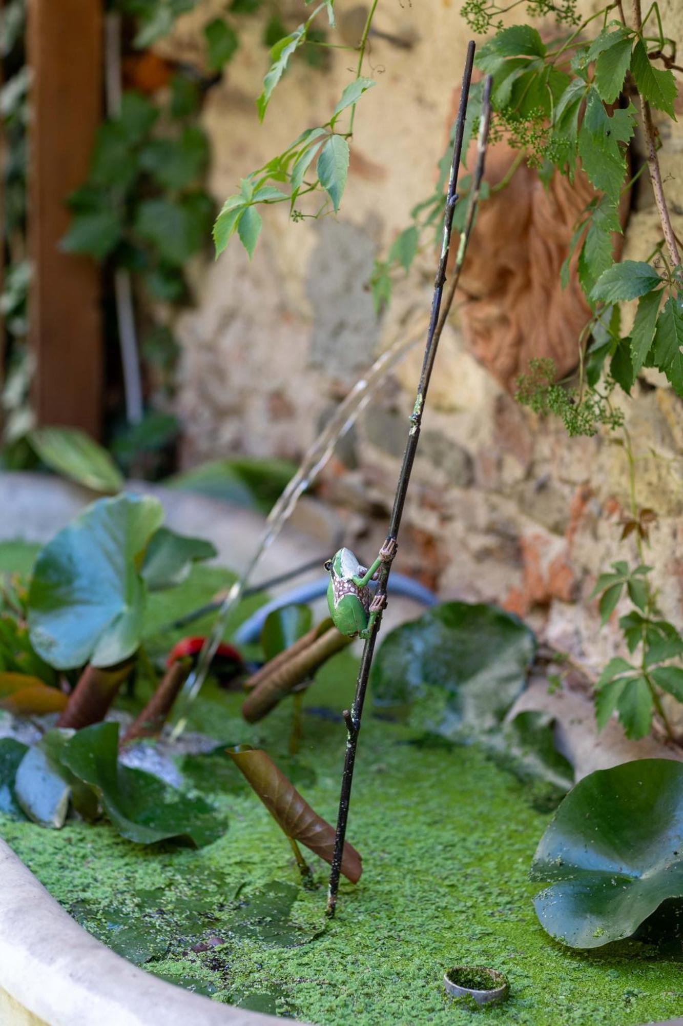 Secret Garden Firenze B&B Eksteriør billede